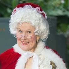 nancy J G LVNV Mrs. Claus